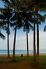 SmugMug > all-time keyword > paradise > Hawaii photo